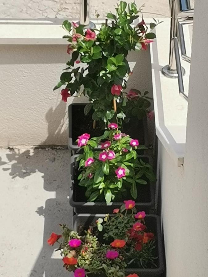 Apartment Lijana Sea View Tučepi エクステリア 写真